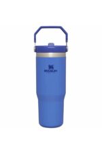 10-09993-198 The Iceflow Flip Straw 0,89 Litre Pipetli Termos Bardak - Mavi