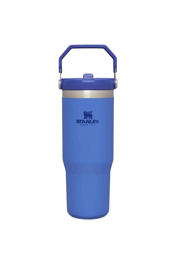 10-09993-198 The Iceflow Flip Straw 0,89 Litre Pipetli Termos Bardak - Mavi